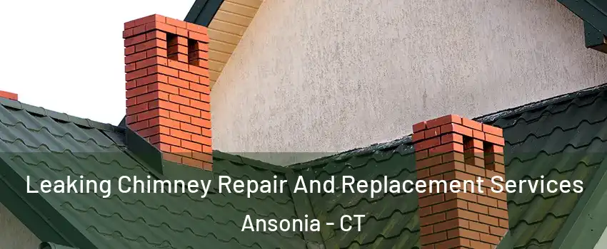  Leaking Chimney Repair And Replacement Services Ansonia - CT
