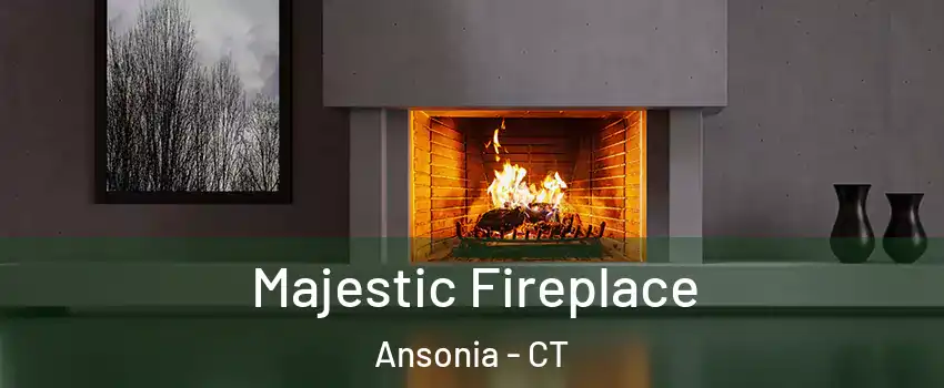 Majestic Fireplace Ansonia - CT