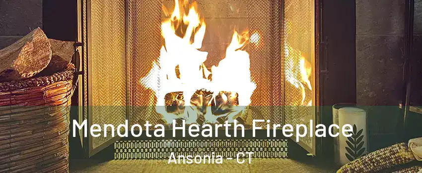  Mendota Hearth Fireplace Ansonia - CT