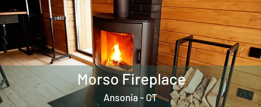  Morso Fireplace Ansonia - CT
