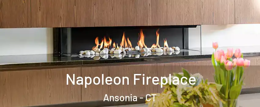  Napoleon Fireplace Ansonia - CT