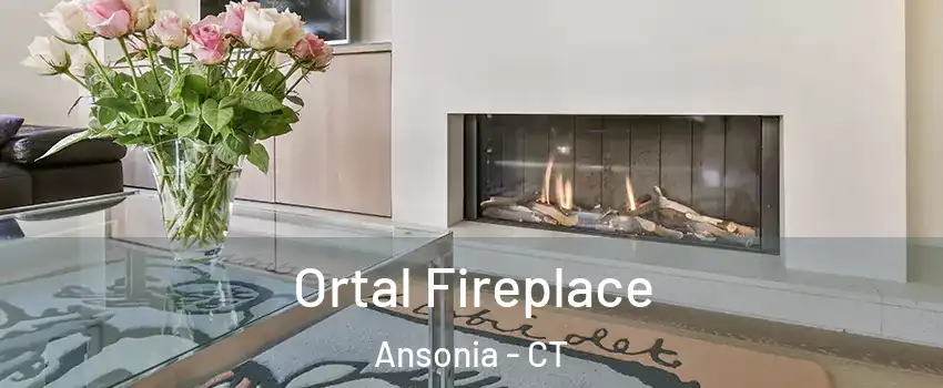  Ortal Fireplace Ansonia - CT