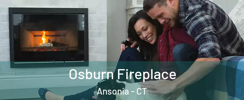  Osburn Fireplace Ansonia - CT