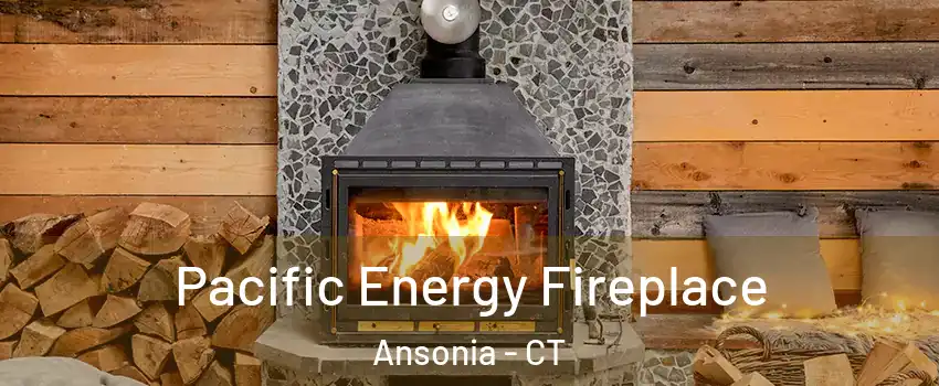  Pacific Energy Fireplace Ansonia - CT