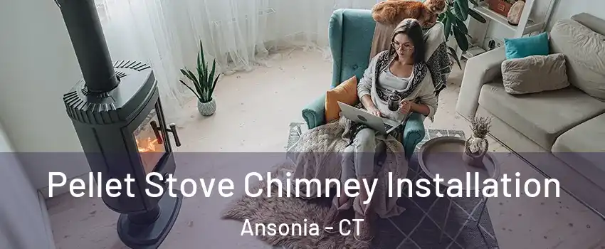  Pellet Stove Chimney Installation Ansonia - CT