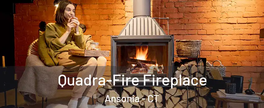  Quadra-Fire Fireplace Ansonia - CT