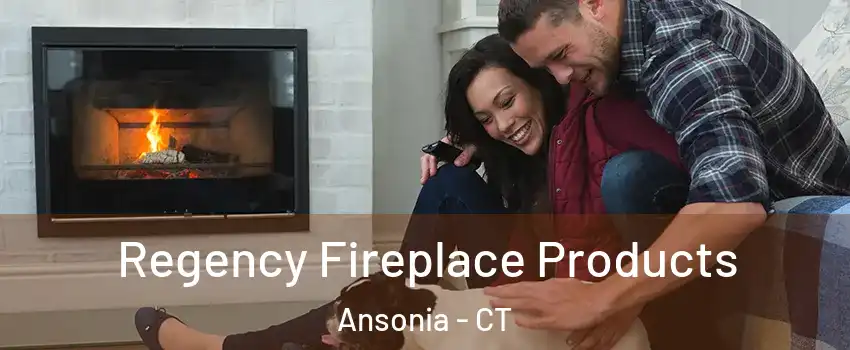  Regency Fireplace Products Ansonia - CT