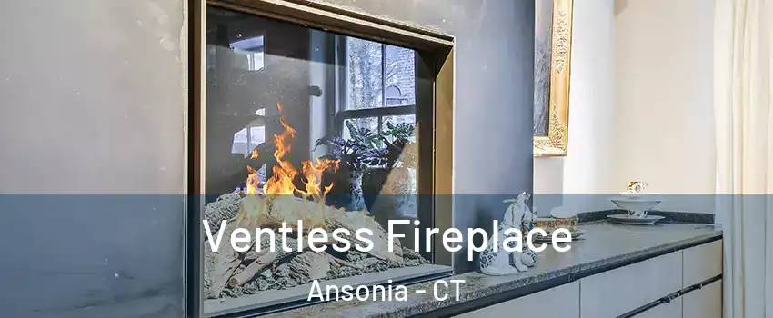  Ventless Fireplace Ansonia - CT