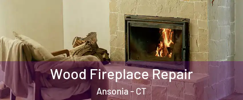  Wood Fireplace Repair Ansonia - CT
