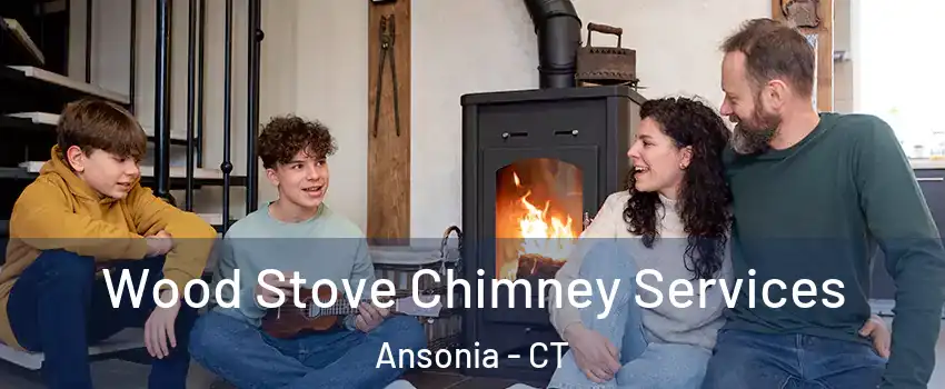  Wood Stove Chimney Services Ansonia - CT