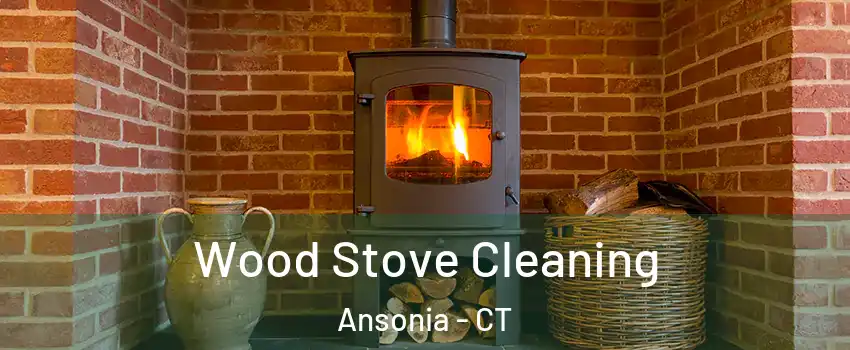  Wood Stove Cleaning Ansonia - CT