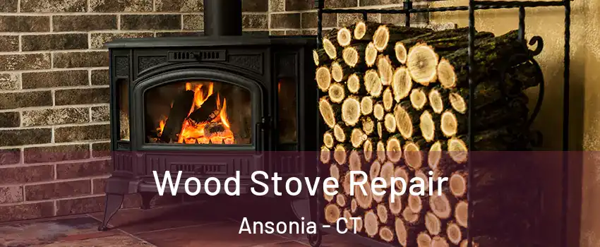  Wood Stove Repair Ansonia - CT